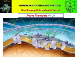 MEMBRANE STUCTURE AND FUNCTION