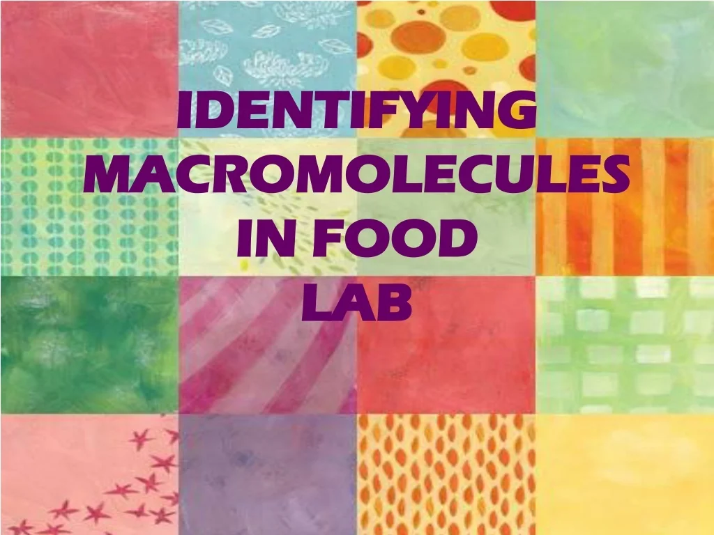 PPT - IDENTIFYING MACROMOLECULES IN FOOD LAB PowerPoint Presentation ...
