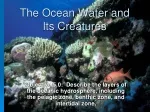 The Ocean Water and Its Creatures