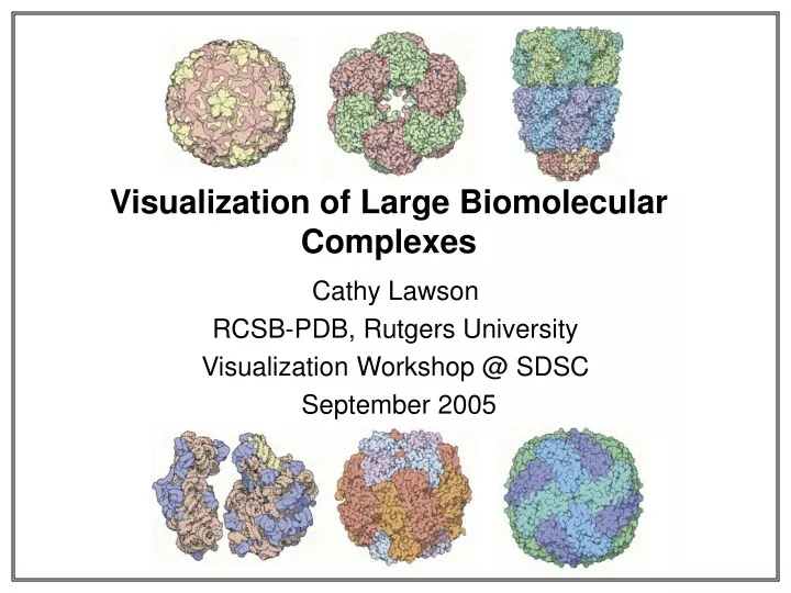 visualization of large biomolecular complexes