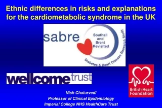 Ethnic differences in risks and explanations for the cardiometabolic syndrome in the UK