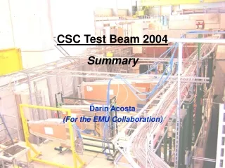 CSC Test Beam 2004 Summary