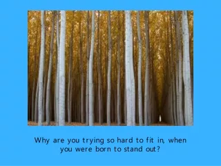 Why are you trying so hard to fit in, when you were born to stand out?