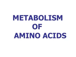 Fate of absorbed amino acids