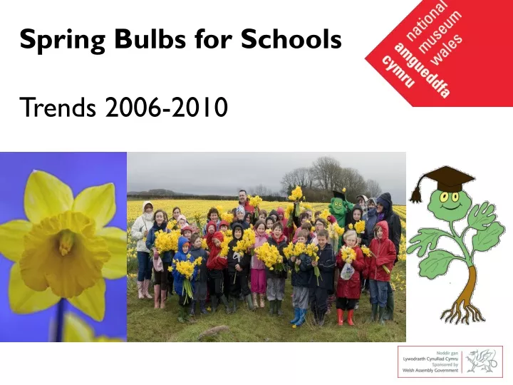 spring bulbs for schools trends 2006 2010