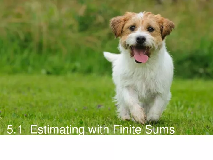 5 1 estimating with finite sums
