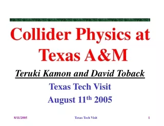 Collider Physics at Texas A&amp;M Teruki Kamon and David Toback Texas Tech Visit  August 11 th  2005