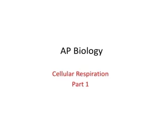 AP Biology