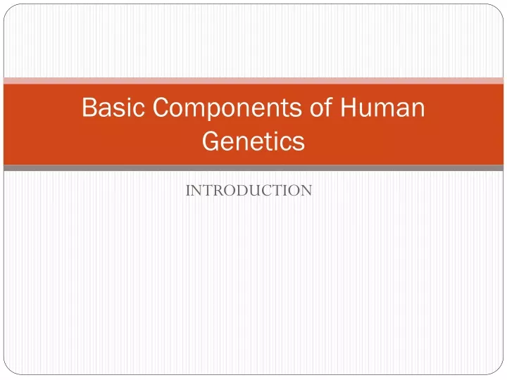 basic components of human genetics