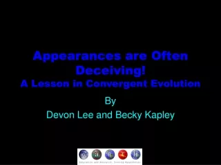 Appearances are Often Deceiving!  A Lesson in Convergent Evolution