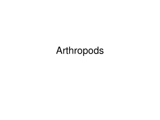 Arthropods