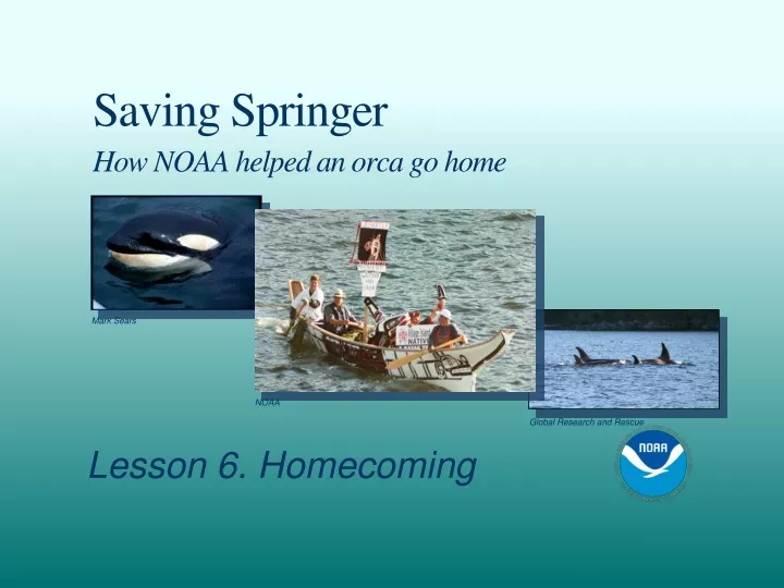 saving springer how noaa helped an orca go home