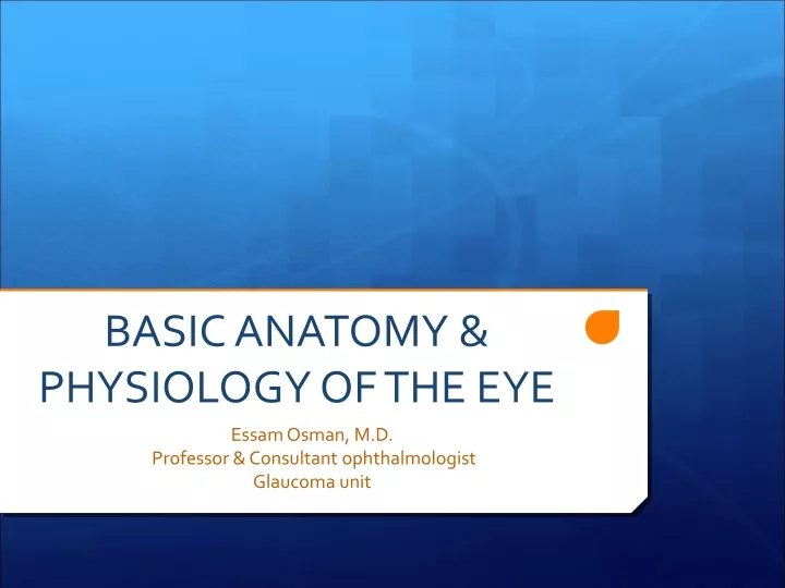 basic anatomy physiology of the eye