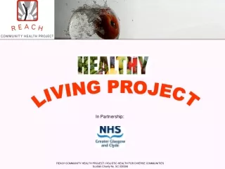 REACH COMMUNITY HEALTH PROJECT: HOLISTIC HEALTH FOR DIVERSE COMMUNITIES