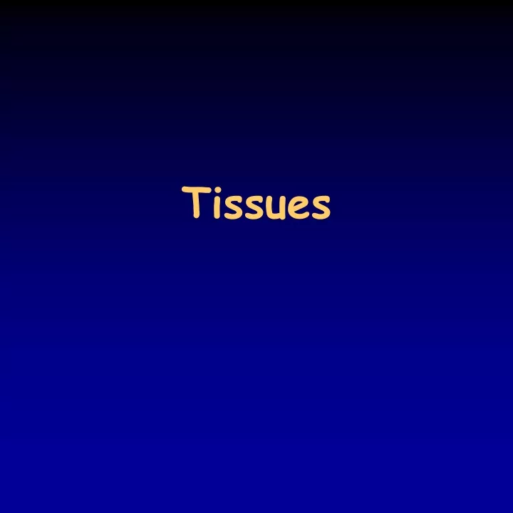 tissues