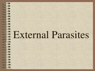 External Parasites