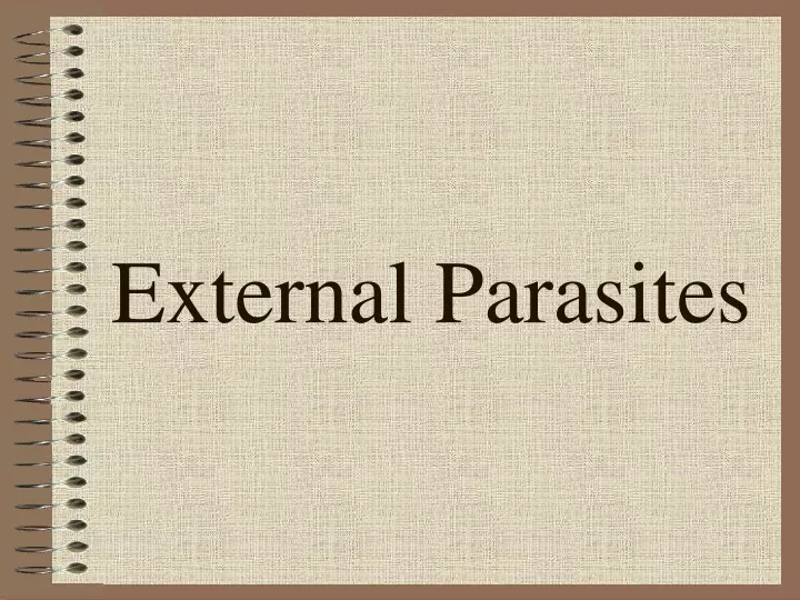 external parasites