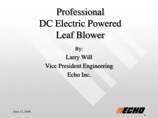 Professional  DC Electric Powered  Leaf Blower