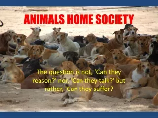 ANIMALS HOME SOCIETY