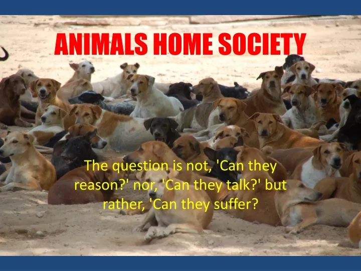animals home society