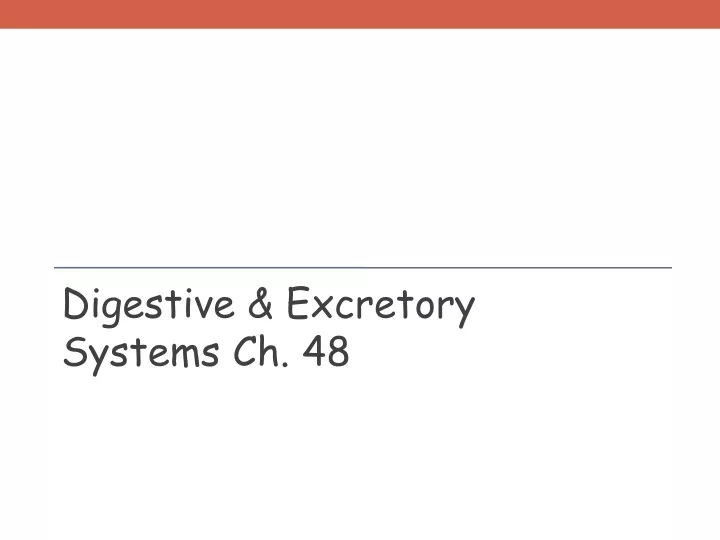 digestive excretory systems ch 48
