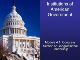 Institutions of American Government