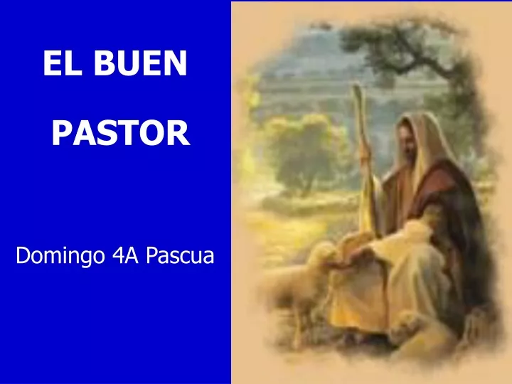 el buen pastor domingo 4a pascua