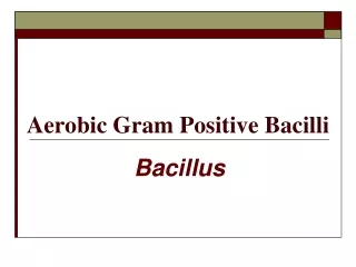 Aerobic Gram Positive Bacilli