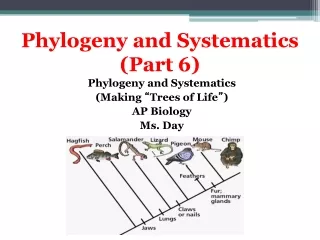 Phylogeny and Systematics (Part 6)