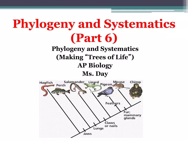 phylogeny and systematics part 6