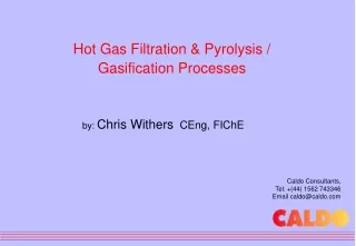 Hot Gas Filtration &amp; Pyrolysis / Gasification Processes