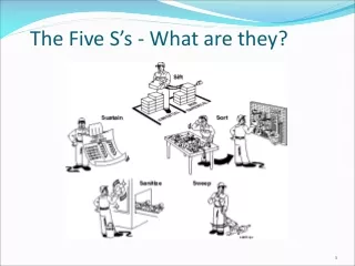 The Five S’s - What are they?