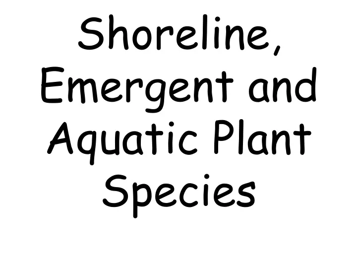 shoreline emergent and aquatic plant species