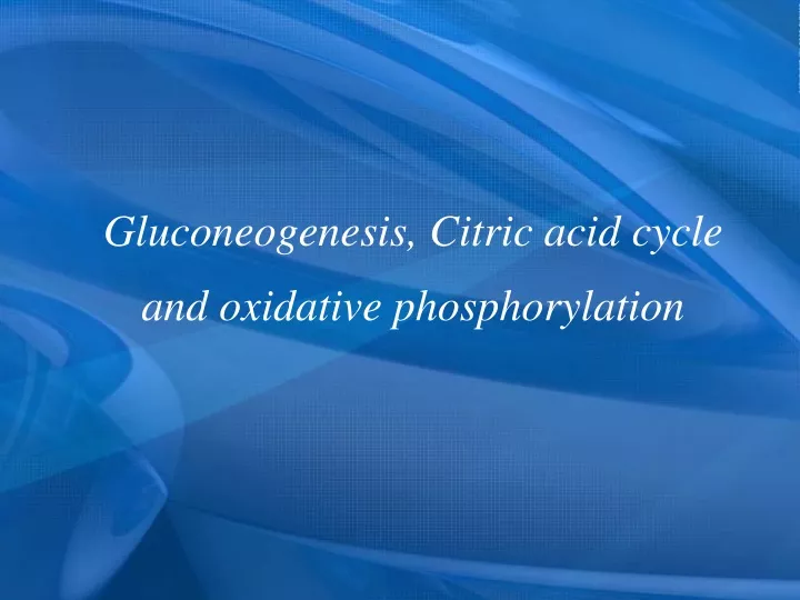 gluconeogenesis citric acid cycle and oxidative phosphorylation