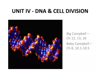 UNIT IV - DNA &amp; CELL DIVISION