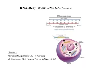 RNA-Regulation: RNA Interference