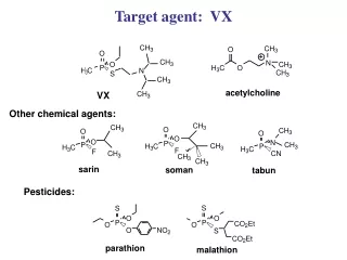 Target agent:  VX