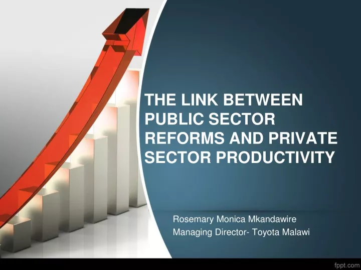 the link between public sector reforms and private sector productivity