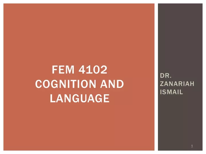 fem 4102 cognition and language