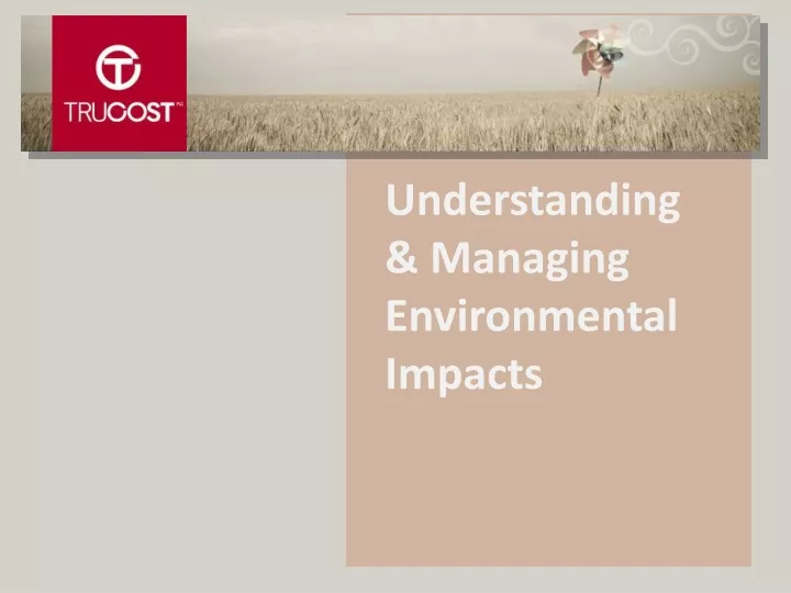 understanding managing environmental impacts