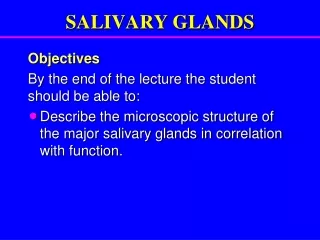 SALIVARY GLANDS