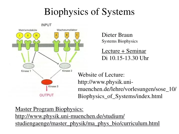 biophysics of systems