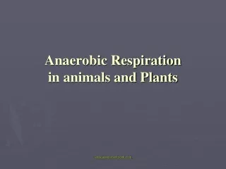 Anaerobic Respiration in animals and Plants