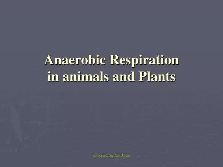 anaerobic respiration in animals and plants