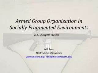 Armed Group Organization in Socially Fragmented Environments  (i.e., Collapsed States)