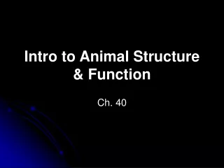 Intro to Animal Structure &amp; Function