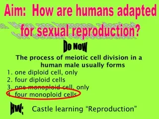 Aim:  How are humans adapted for sexual reproduction?