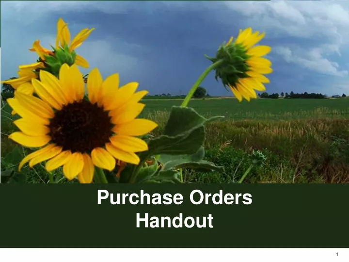purchase orders handout