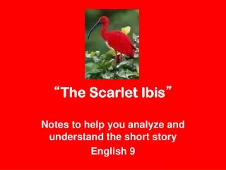 “ The Scarlet Ibis ”