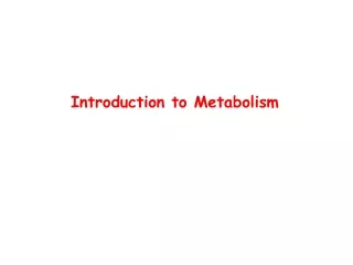 Introduction to Metabolism